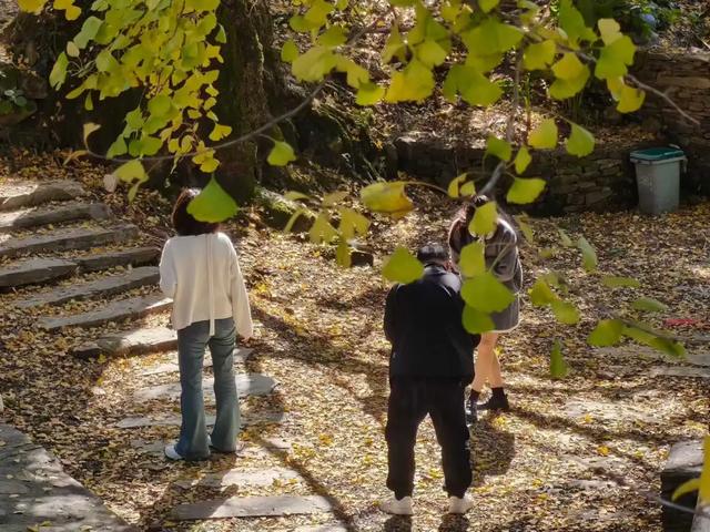 邵阳人藏不住的秋冬快乐！这些“金色浪漫”，@所有人来约！