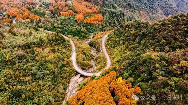 漫山彩林，琉璃坝的色彩美学