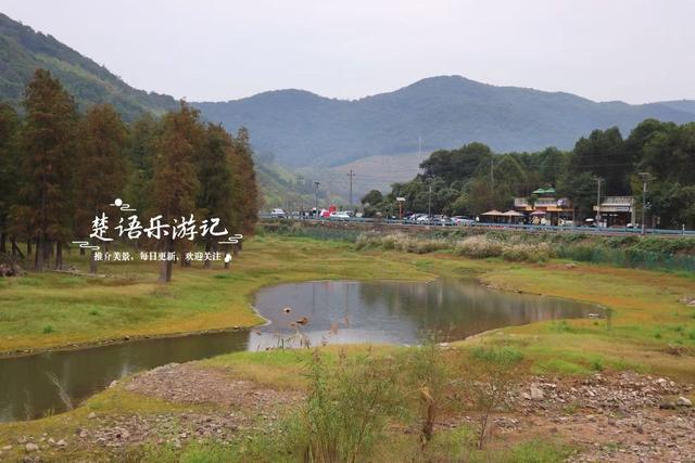 宁波这个新“阿泰勒”火了，游客络绎不绝，每人看了都会惊叹一声