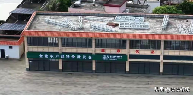 吃相太难看?全红婵刚归队全父用就冠军名号赚钱,担心的事还是发生