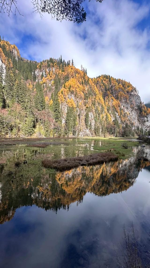 【今日九寨沟】秋季彩林最后的盛宴，明年再见！