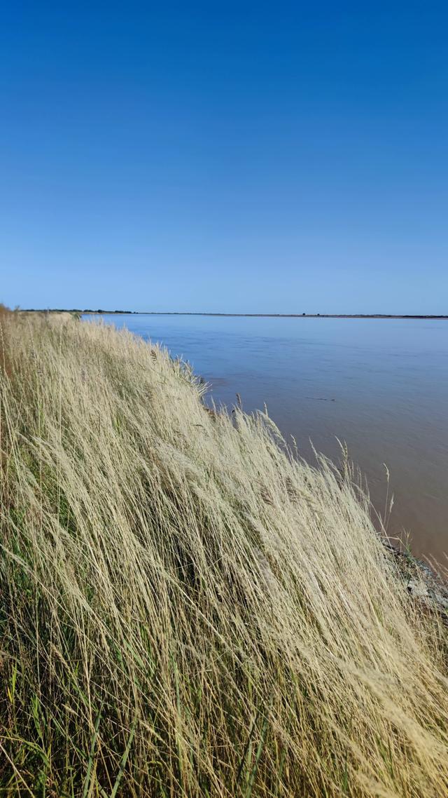 包头天下黄河第一村，靠着黄河边，风景还是不错的