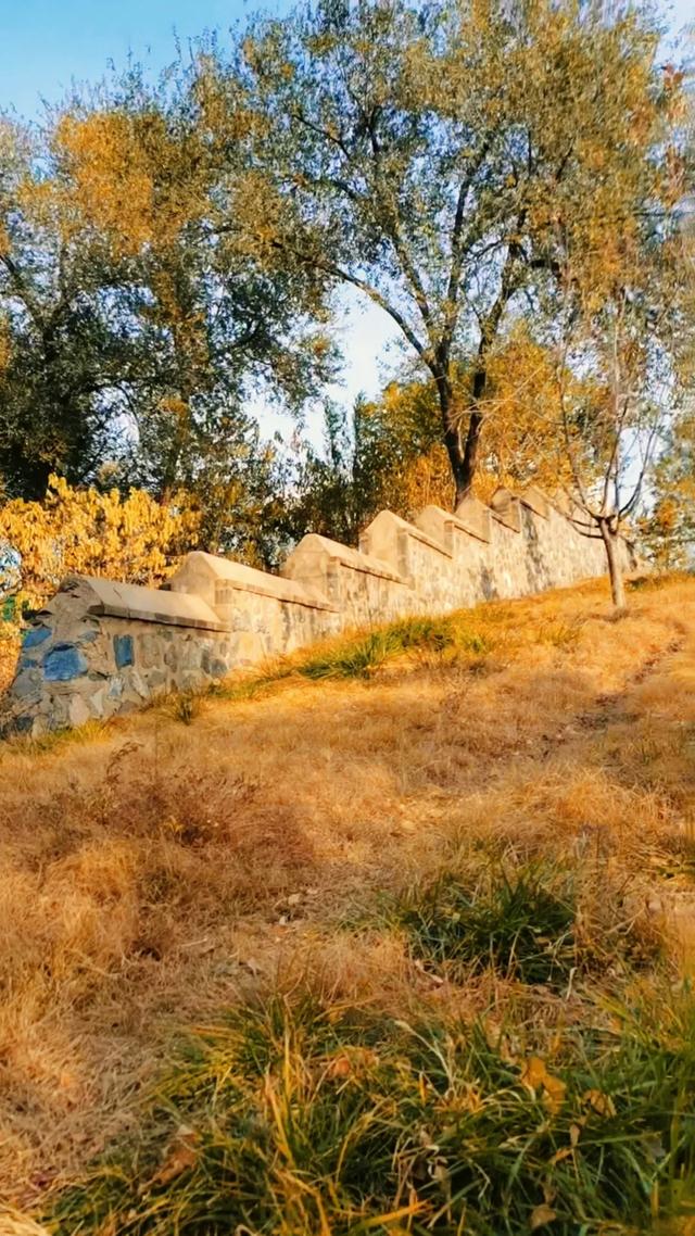 初冬，暖阳斜照时，这里仍有几分秋色——