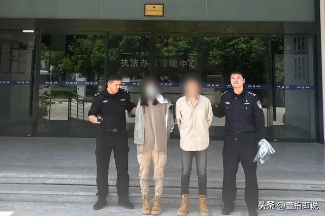 野外仅存600多只！浙江4人徒手抓26只，价值10多万