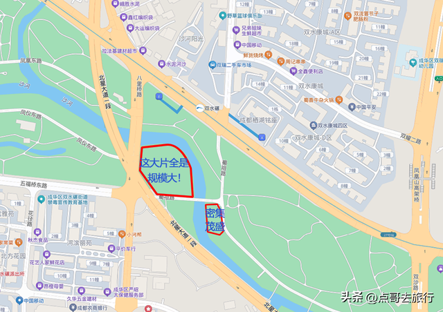 成都市区彼岸花，花开成海，不要门票，地铁公交直达！
