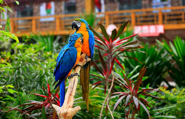 北京市景区购票服务平台上线试运行~首批上线丰台8家景区！