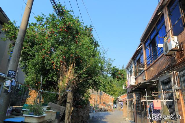夏日无锡，长广溪畔的袁家湾