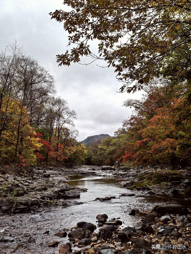 2025辽宁赏秋之旅日记(2)——游览丹东蒲石河森林公园