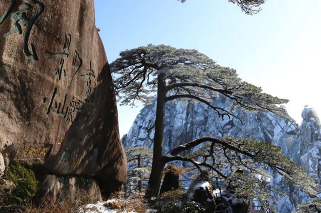 黄山初冬,打翻调色盘的绝美限定 | 皖美冬日