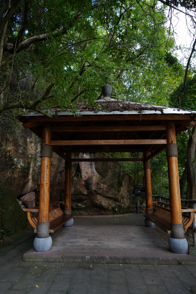 黄山治愈系打卡！20 分钟公园漫游，和“班味”说拜拜 | 皖美冬日 | 第十五届安徽国际文化旅游节