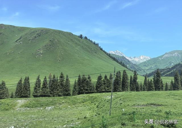 自驾新疆，走大名鼎鼎的独库公路和百里画廊，霍城看薰衣草（4）