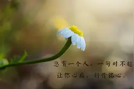 爱你是我一个人的兵荒马乱图片