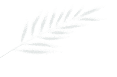 江汉文创，还是太超前了