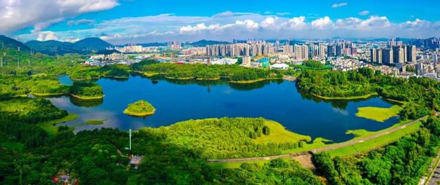 跟着十五运游坪山｜坪山体育中心体育馆周边这些宝藏地藏不住了！