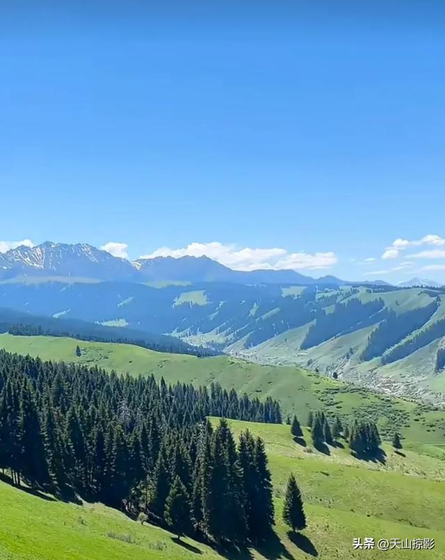 南山南