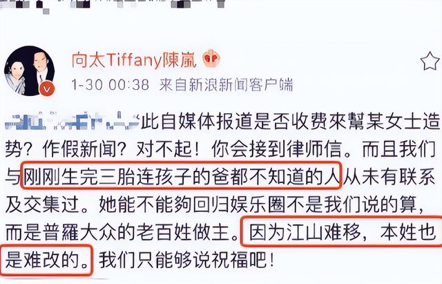 狐狸尾巴藏不住，撒谎成性、风流潇洒的张柏芝，被陈晓东撕下体面