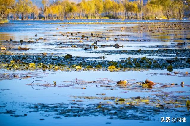 隐藏在洱海边的野营地很多,下关浅滩的土坝就挺有意思,游客罕至