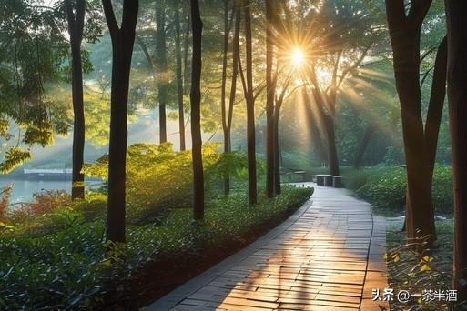 福州市自驾游必看！免费营地，热门景点，特色美食全在这里！