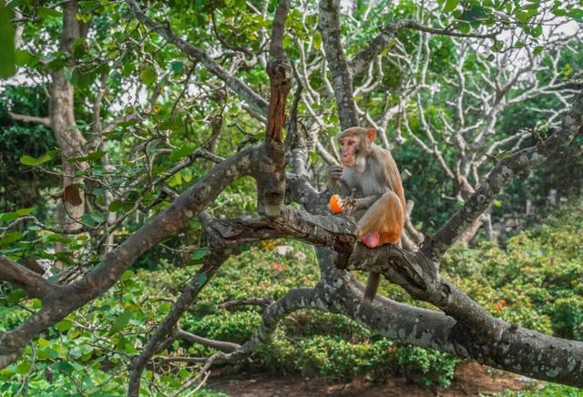地理冷知识—海南陵水