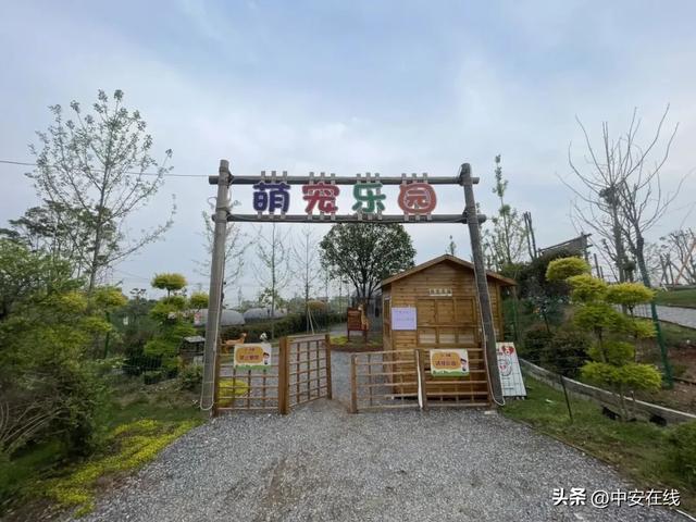 12月6日“乡”约宿松,这座3000亩文旅小镇藏着诗与远方