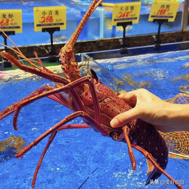 收藏！8月梅沙滨海度假狂欢指南……