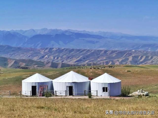 新疆喀拉峻草原,花斑森林镶嵌在高山草甸上