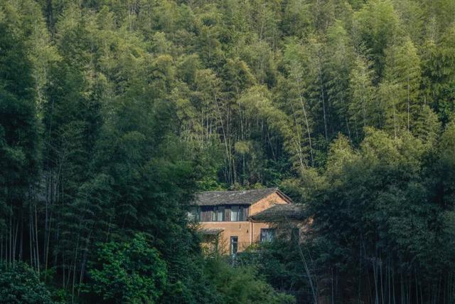 逛古村，喝咖啡，高端的度假就是这么朴实无华