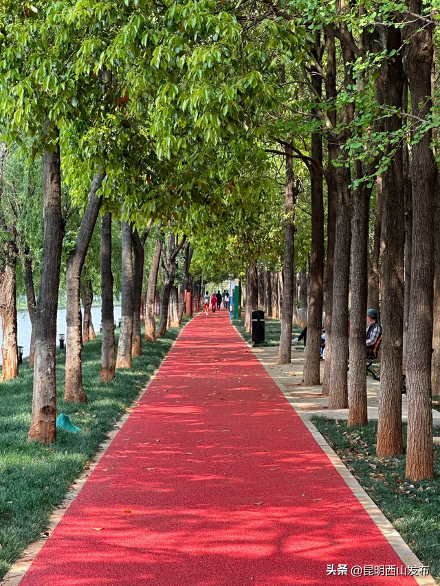@外地人，不用找了！来昆明旅居锁死西山这三大片区