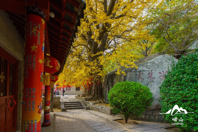 秋日walk，崂山这里美翻了！