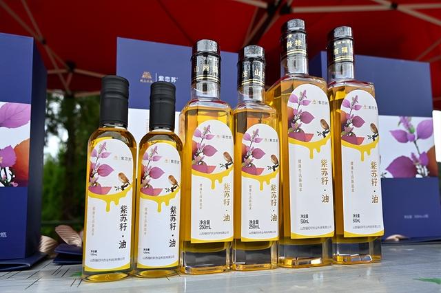 盂县仙人乡垴上村第十届红薯丰收季活动启动