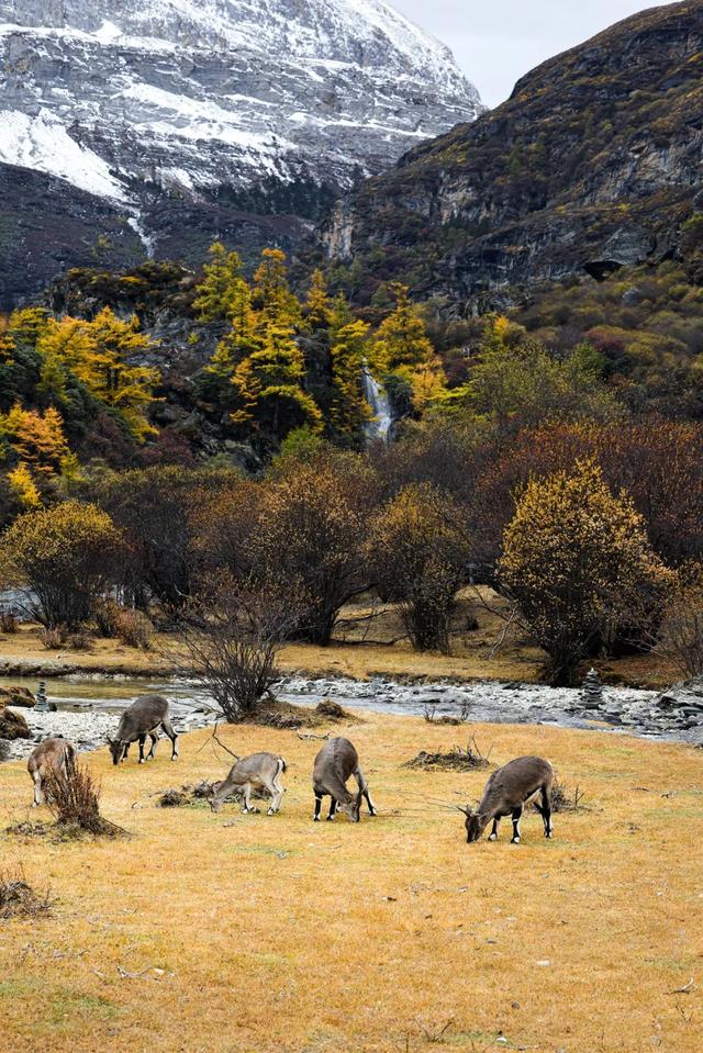 如果有时间，走一次川西顶级路线，1次深度体验胜过10次旅游！