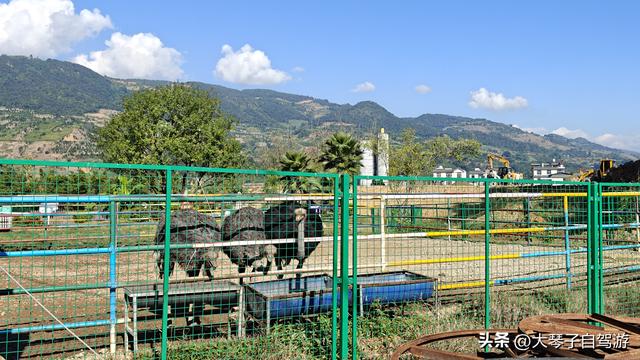 自驾驻车终极攻略！这境界才是来了就不想走的享受巅峰