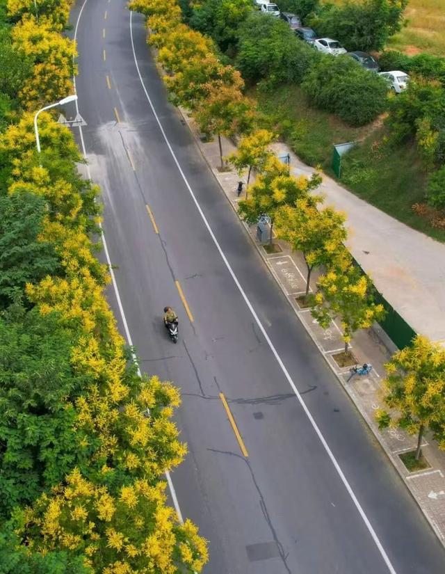 点点点点点点点点点点！洛阳秋天...