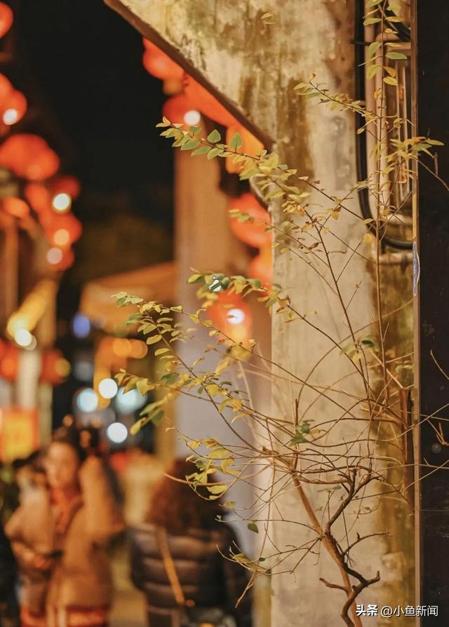 山塘“三幕”灯亮，月夜入画