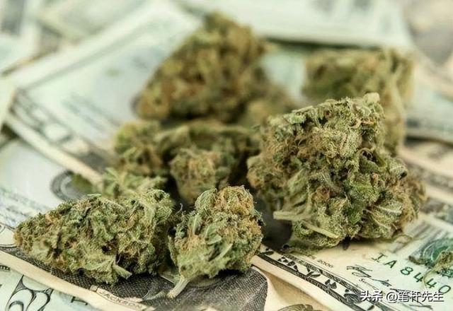 陈兵委内瑞拉近海动真格，禁毒只是幌子，美国重掀门罗主义风波