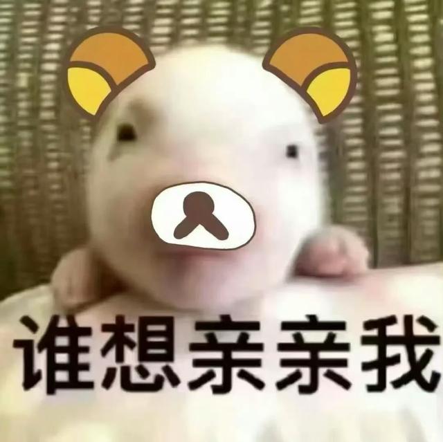 Share｜沙雕表情包11.02