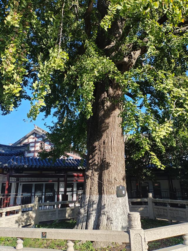 2025秋游：漫游常熟