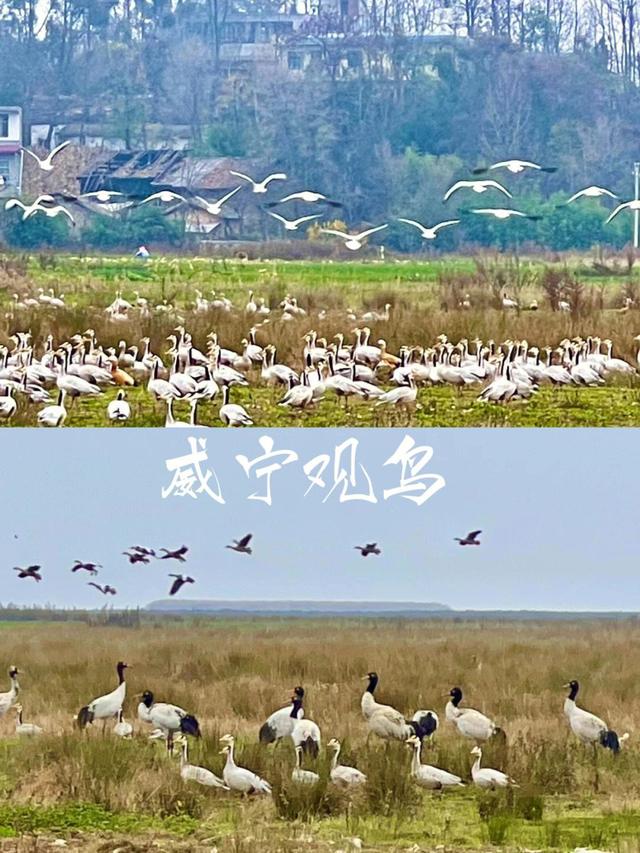 暑假来贵州毕节避暑，与 21℃的夏天，撞个满怀！