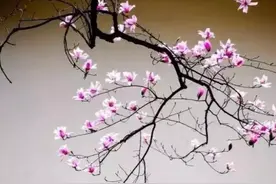 古人读心识人有何妙招？图片