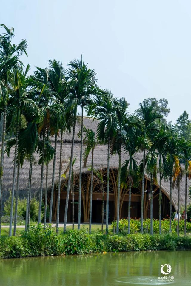 壮美五指山，我要给你五颗星