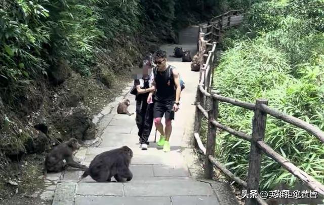 游客要的是“安心”，不是“亲密”：陪爬服务该醒醒了