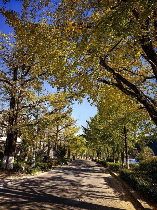 徒步八都岕黄金大道