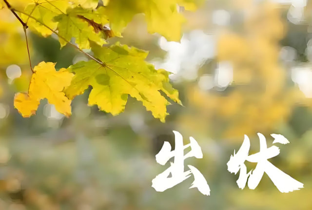 明日出伏！60年难得一遇，3大特点，出伏挨着处暑，有何预兆？