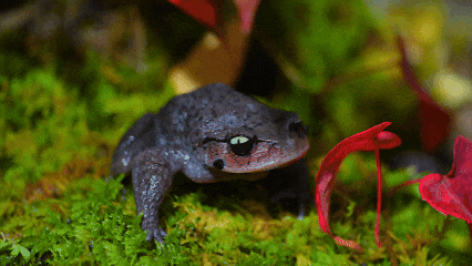 快来抱抱~ | Welcome to 疯狂·武夷山·动物城
