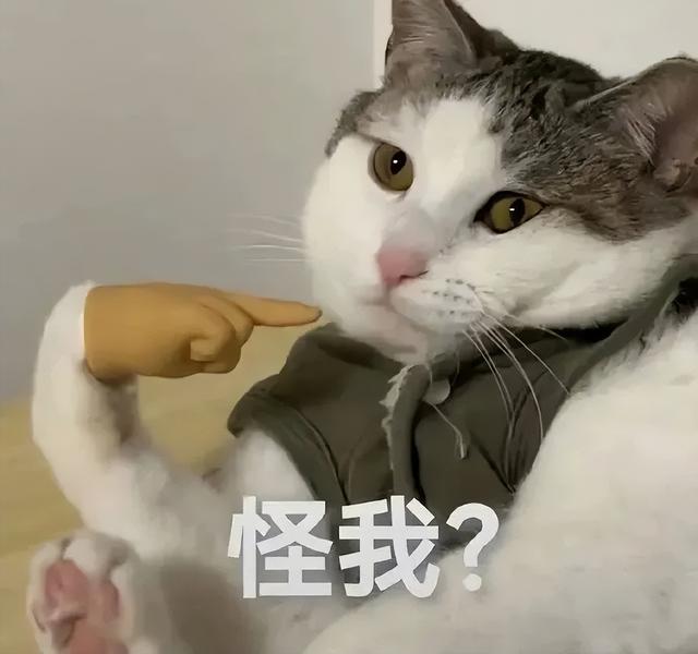 "下雨天这样发，去笑翻你朋友圈"