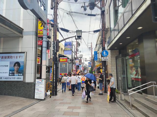 因为鹿，我爱上了奈良