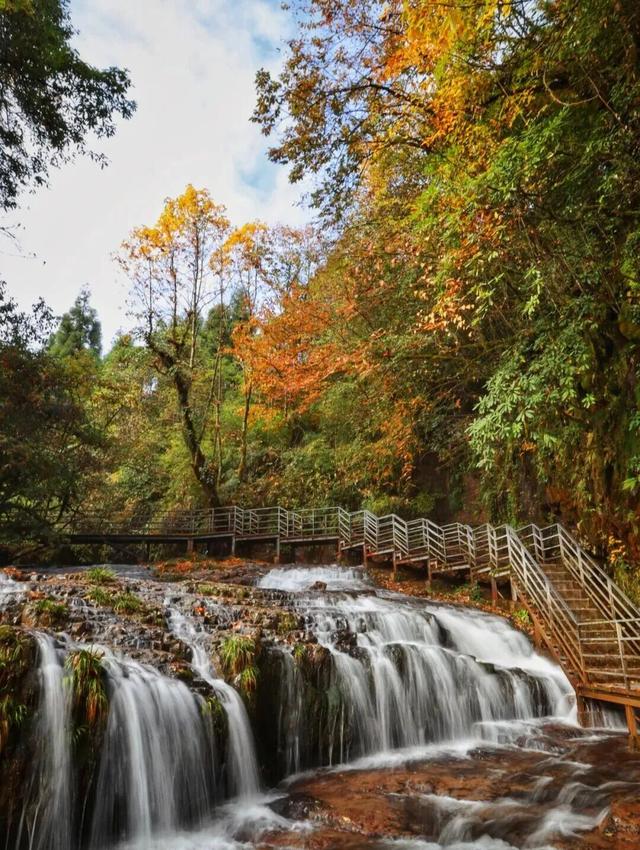 秋假福利持续至本周末！免票游雅安的快乐要一接再接！