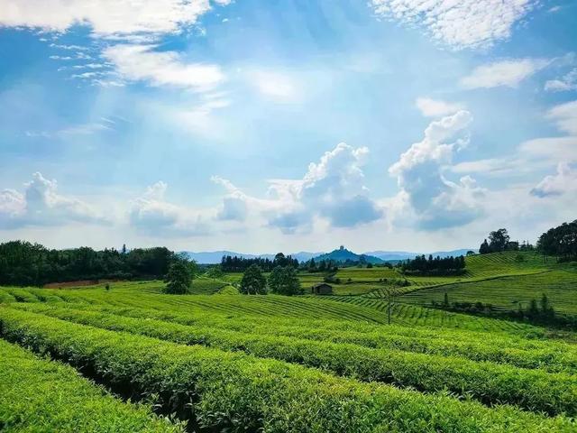 游山玩水、吹风纳凉！高岭文化村夏天太舒服了