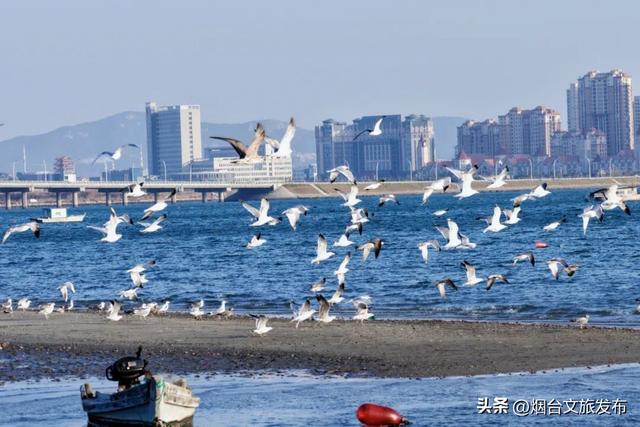 雪雪雪雪！烟台高热玩法攻略来了！