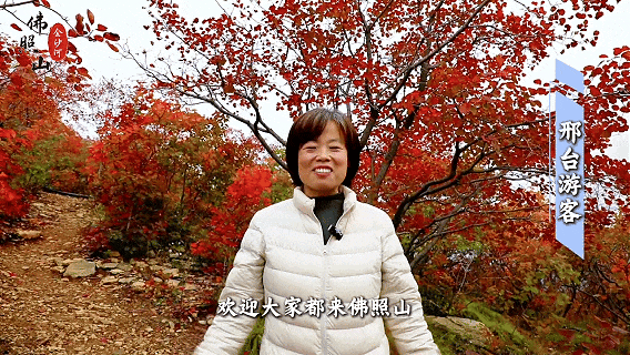 快看佛照山红叶进入最佳观赏期！